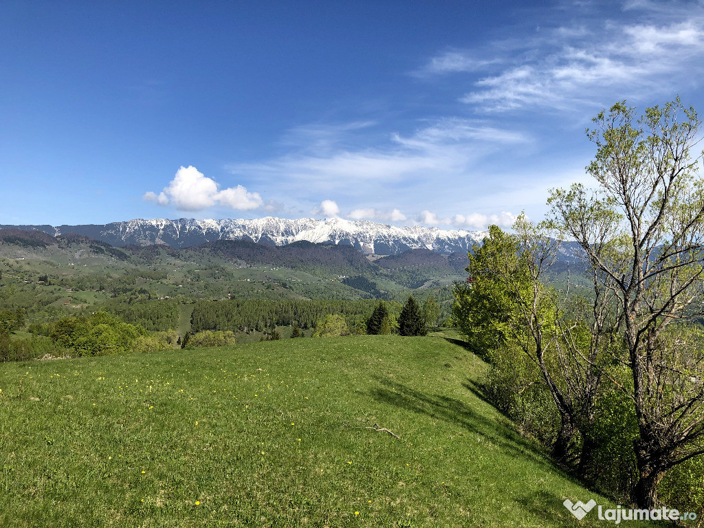 Teren intravilan Moeciu, Drumul Carului 10600 mp