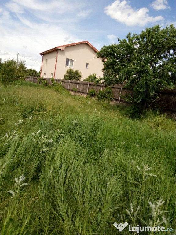 Teren intravilan