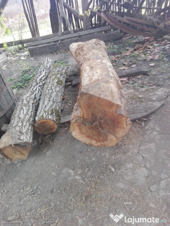 Tulpini de nuc 8 metri steri