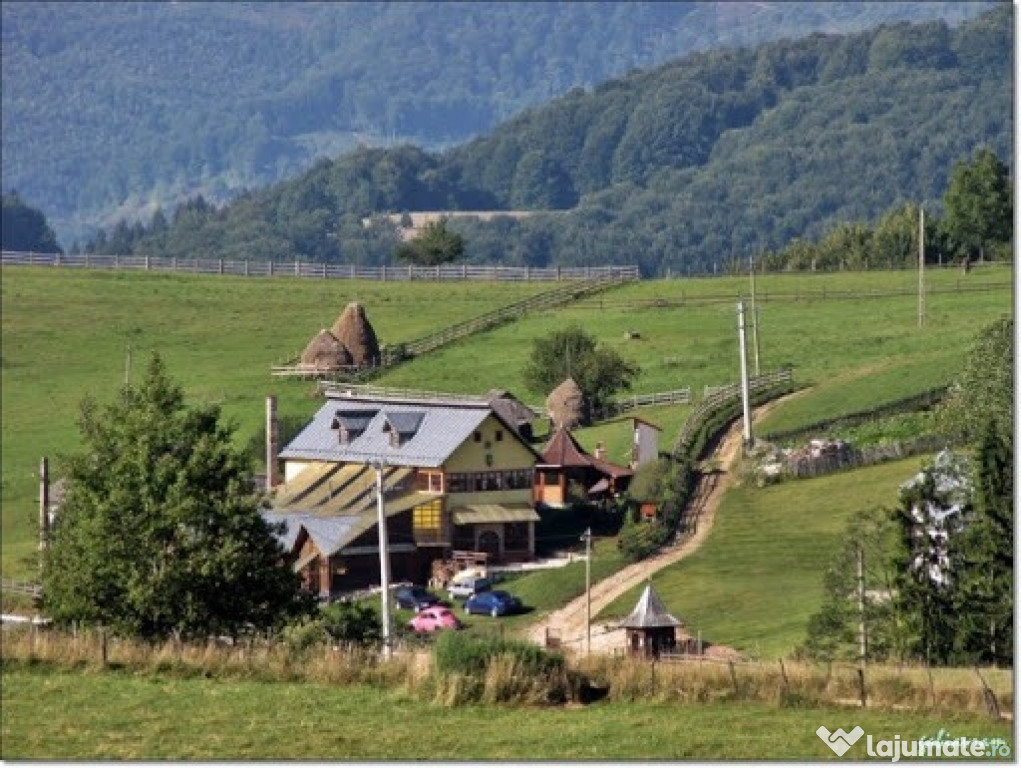 Teren dambovicioara arges 7000 mp(cu izvor de apa plata)