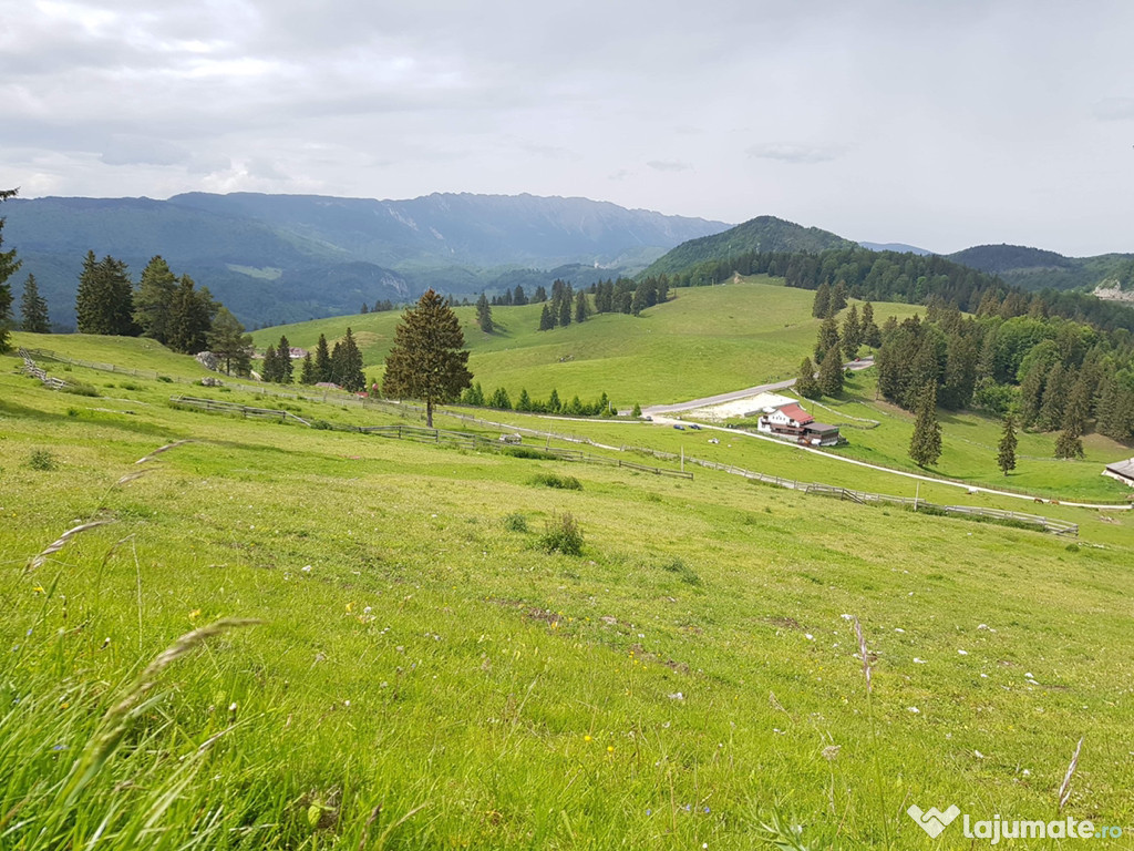 Teren Dâmbovicioara, Arges