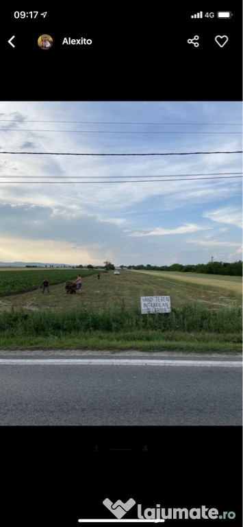 Loc intravilan 8000m2 în Bratasanca