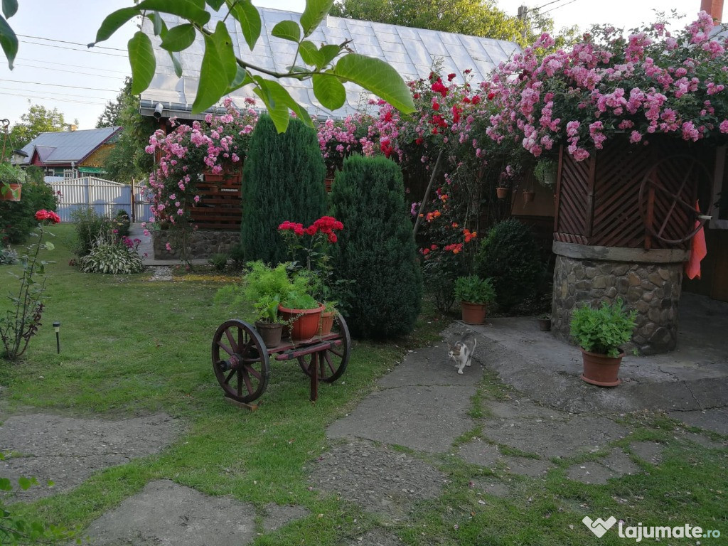 Casa Baisesti, Cornu Luncii