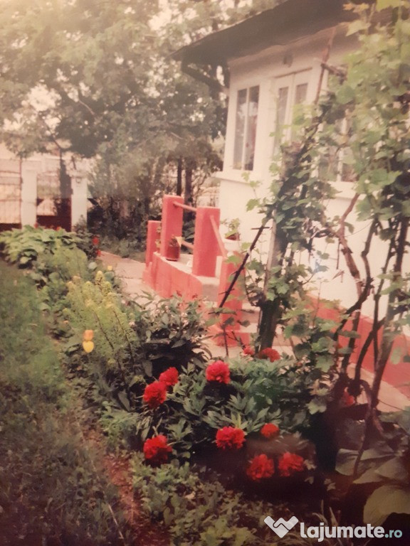 Casa cu teren, intravilan,Cotnari, Iași