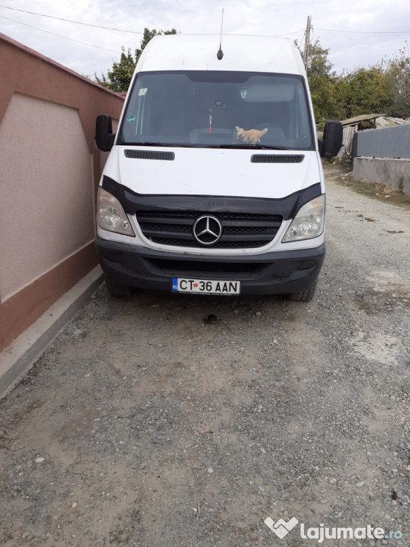 Mercedes sprinten 313