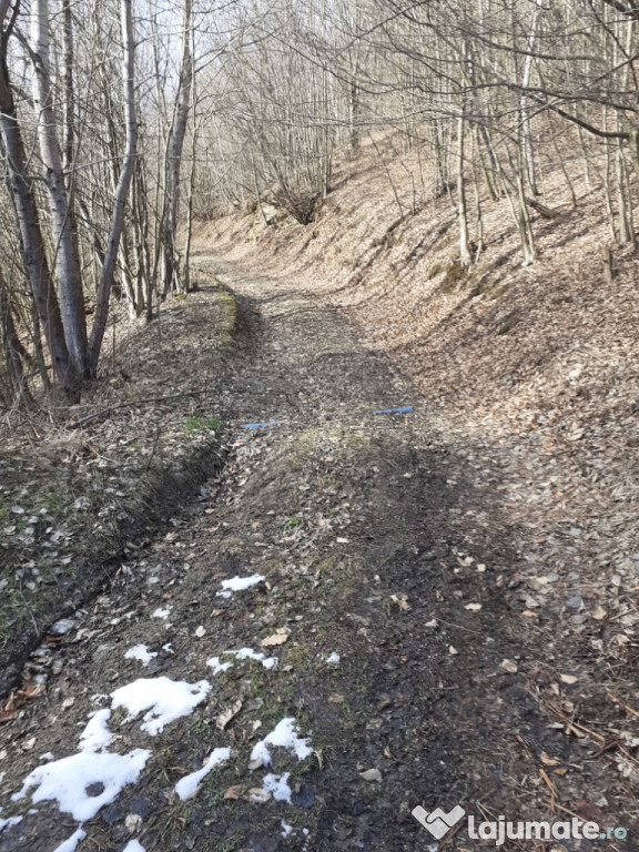 Teren în satul Munteni, comuna Bulz, jud. Bihor