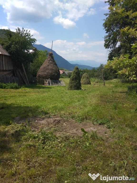 Casă si teren 1300mp Perisani, Valcea