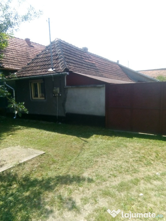 Casă plus grădină Rapsig, Arad