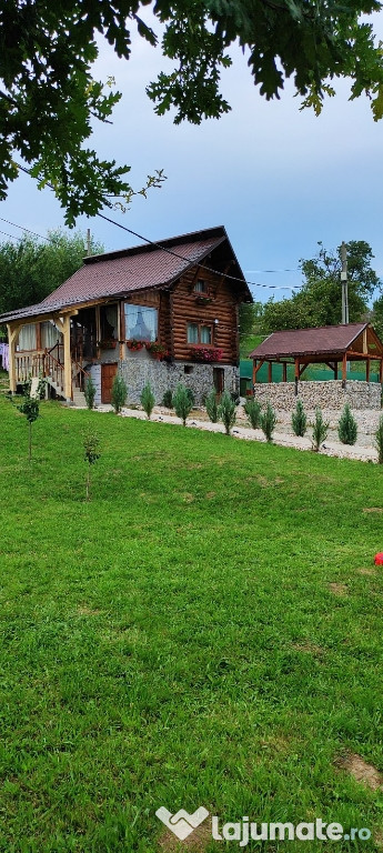 Cabana de închiriat Sohodol, Brasov, Bran