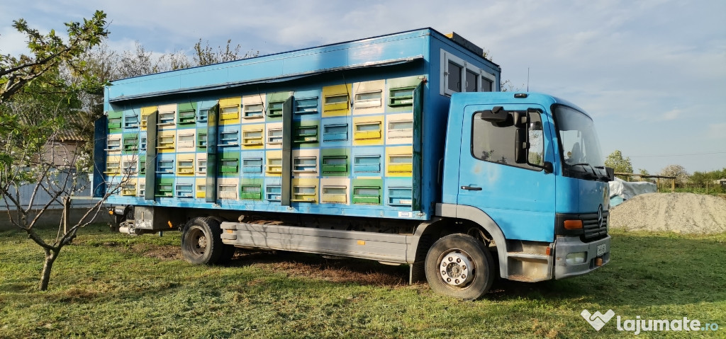 Camion inmatriculat apicol
