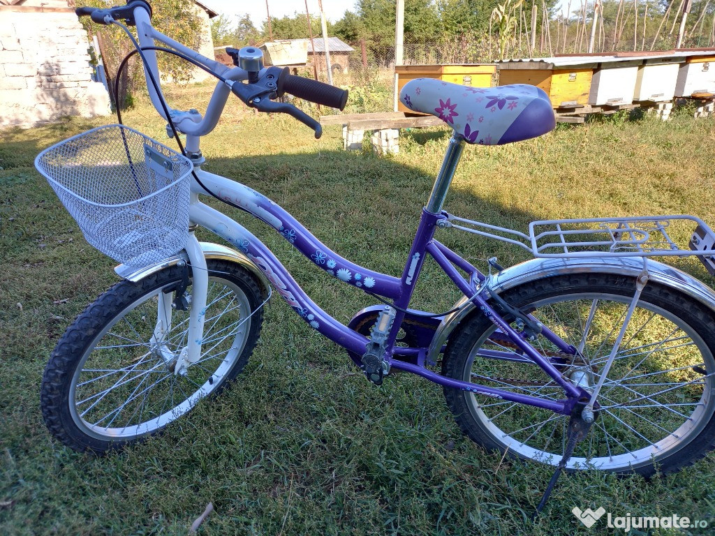 Bicicleta de fete