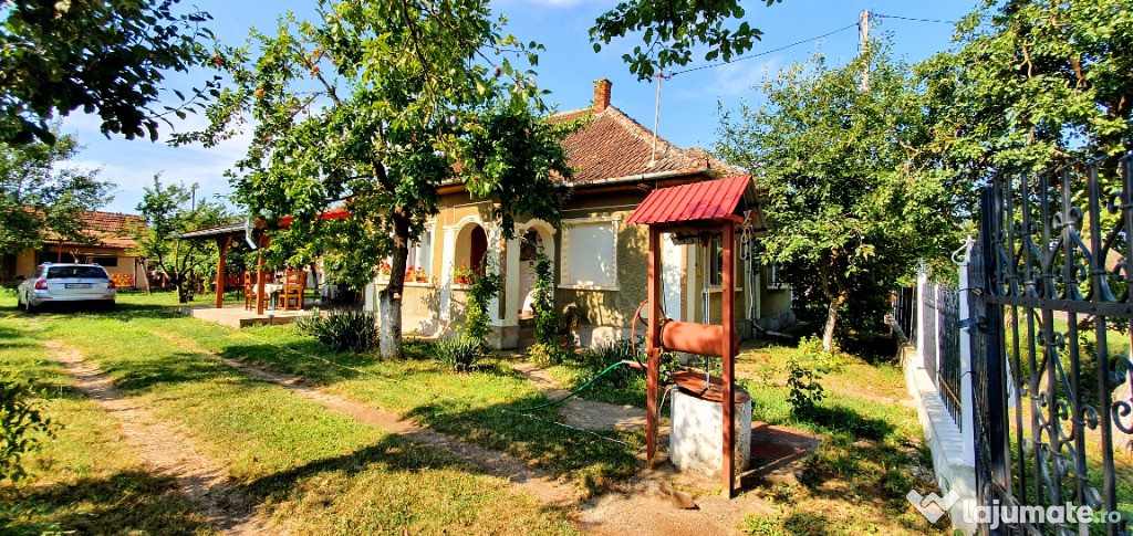 Casa superba Sacaseni (langa Tasnad- bai termale)