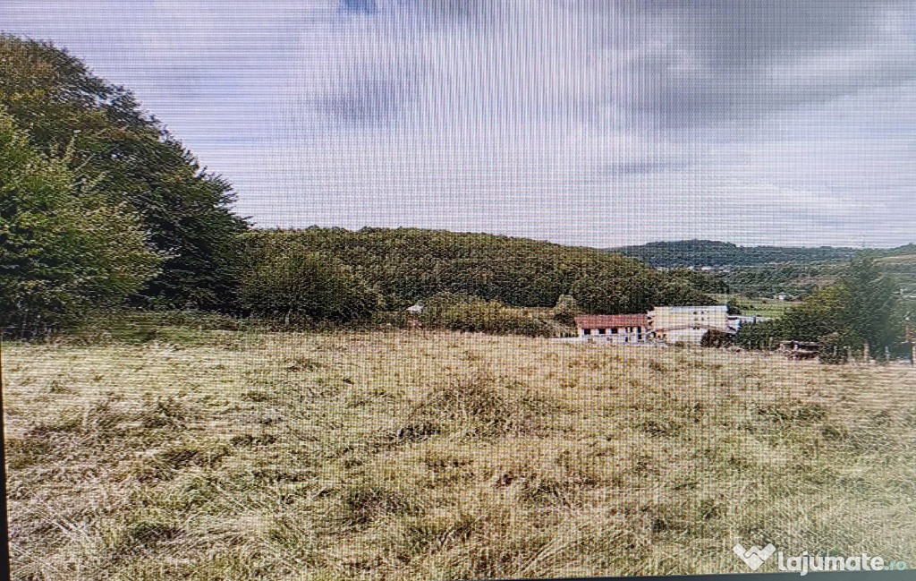 Teren arabil. Nicula