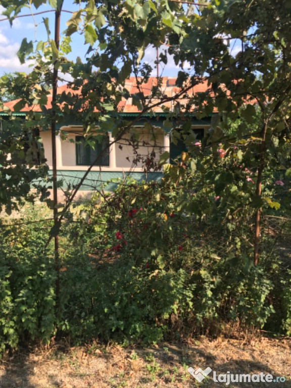 Casa și teren Clejani