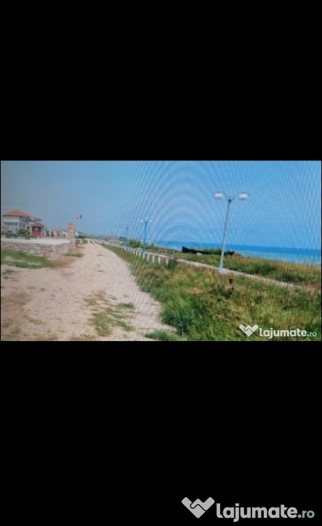 Teren Intravilan Vama Veche 30000mp