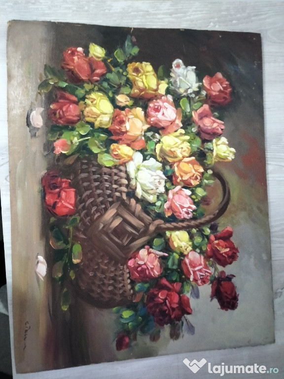 LUCRARE DE LICENTA AMG – INGRIJIREA PACIENTULUI CU TOXIINFECTII ALIMENTARE