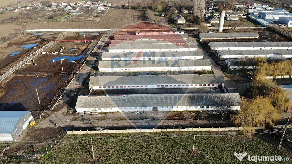 Ferma Pufesti 90.000 mp, jud Vrancea