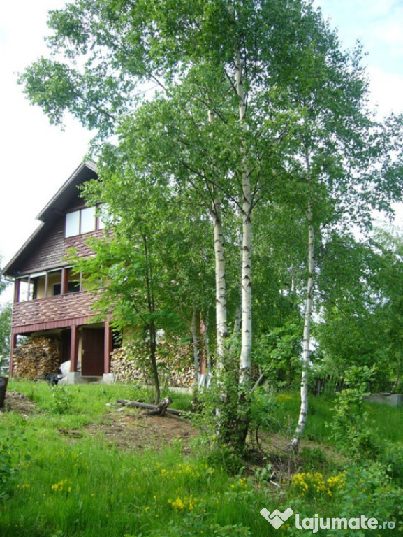 Casa de vacanta cu teren de 1,6 hectare