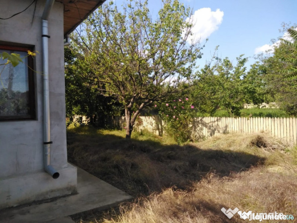 Casa in sat Rasa, jud. Calarasi, curte 2367 mp