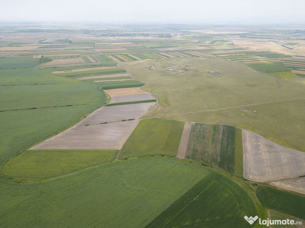 Teren arabil de 40 hectare în Zarand