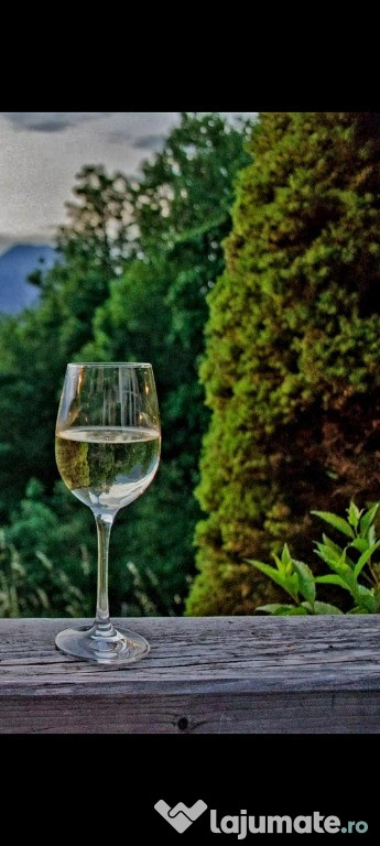 Vin de Vita Nobila de Dragasani - Sauvignon Blanc
