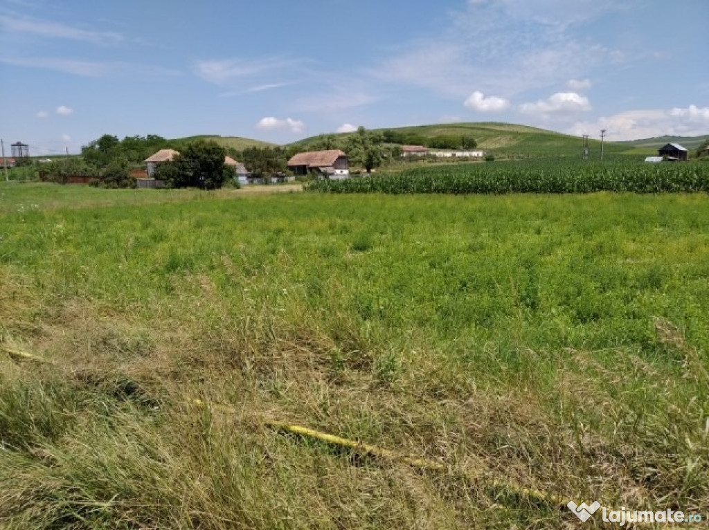 A/1601 De vânzare teren în Mureș - Mărășești