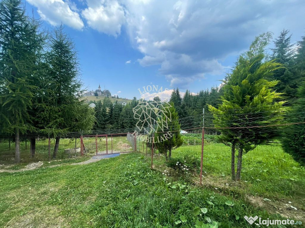 Pensiunea 9 camere 482 mp-teren 1 ha-Lac-Piatra Fantanele...