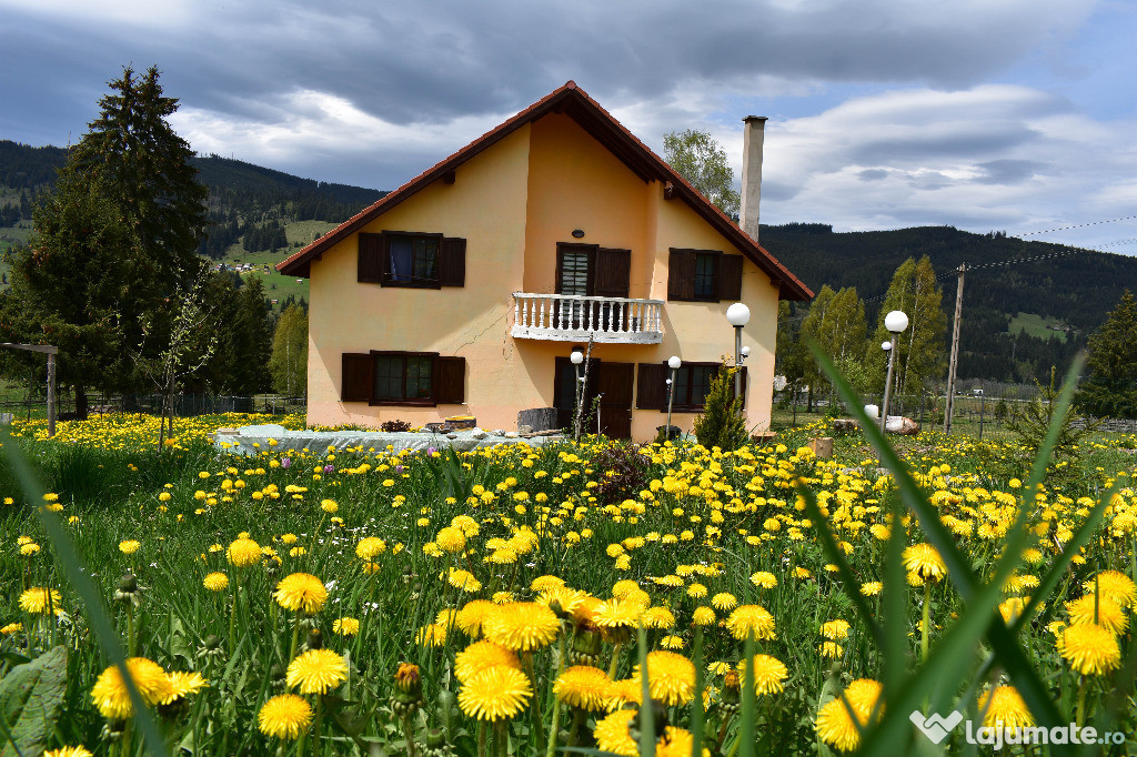 Închiriez vila Vatra Dornei