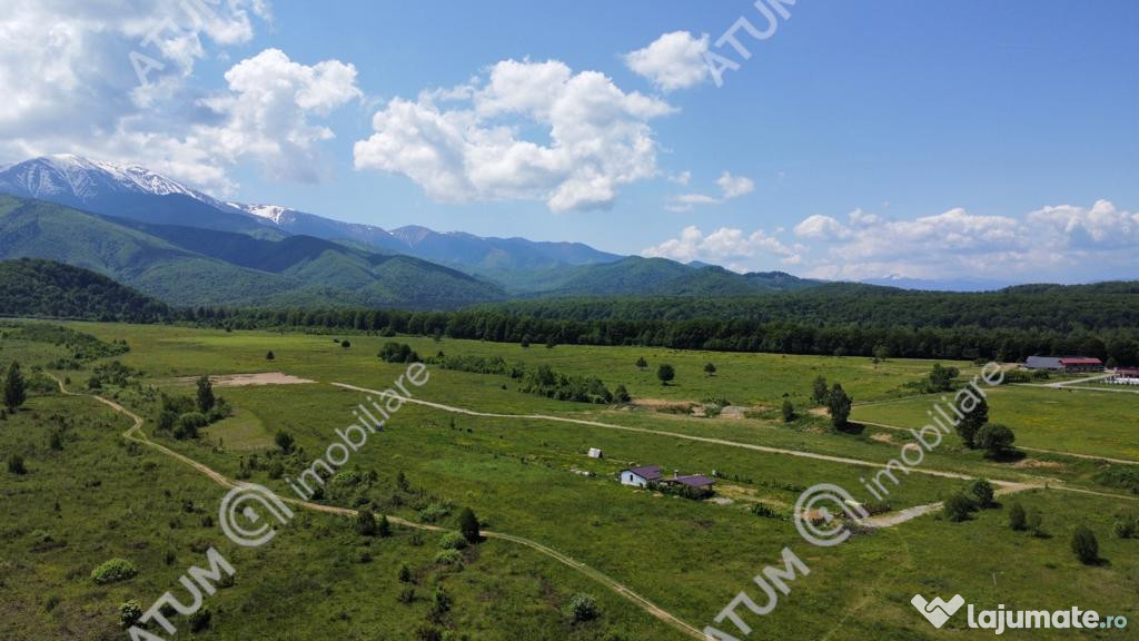 Teren intravilan de in Avrig zona Valea Avrigului