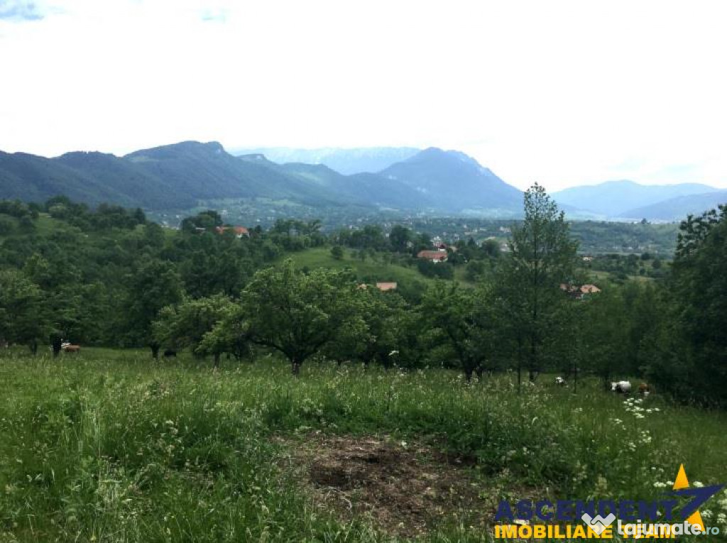 FILM PREZENTARE! ! Natura si peisajul la tine acasa, Bran