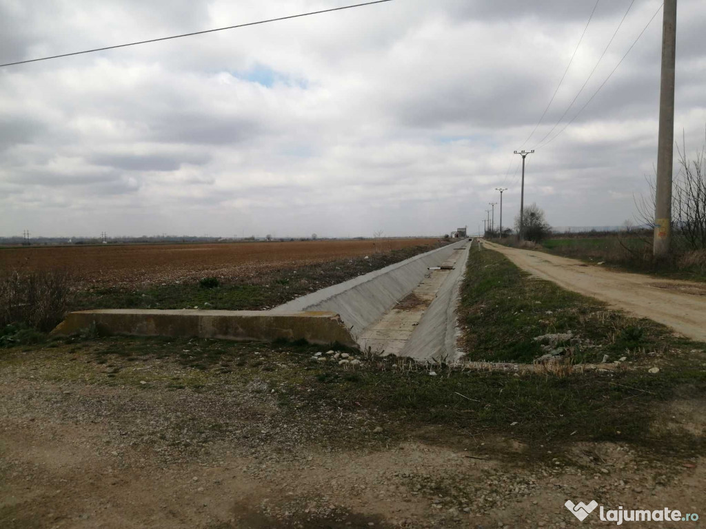 Teren agricol extravilan de , la 24 km de Pitesti