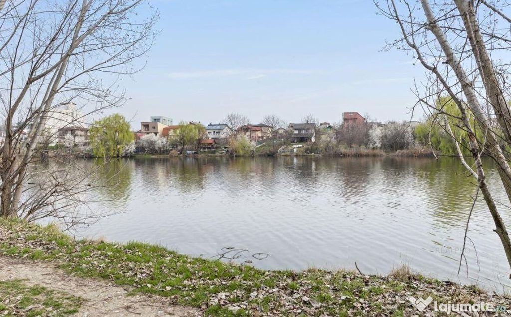 Teren la lac in Pipera, Voluntari