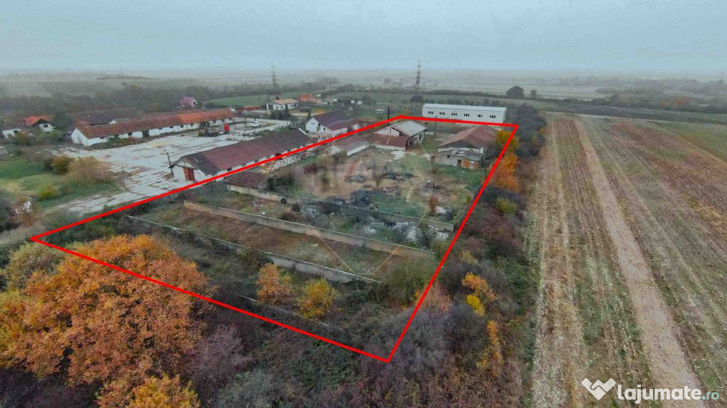 Spațiu industrial și teren 5674mp, de închiriat, în T...