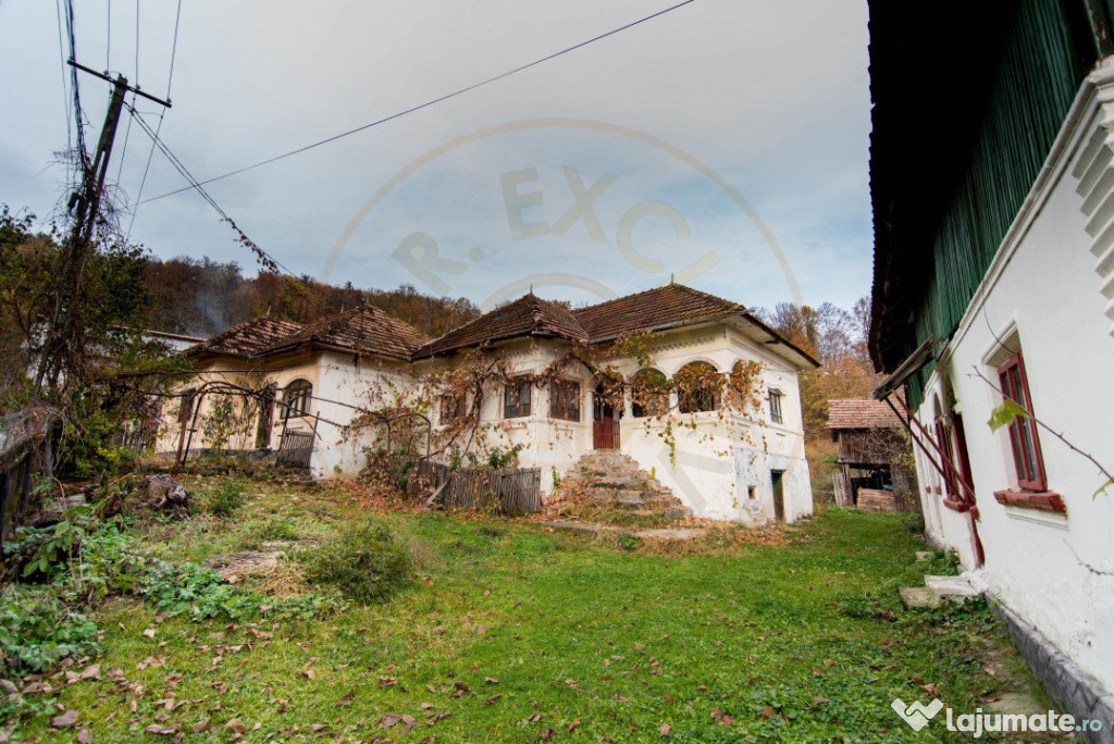 Gospodarie traditionala in loc. Vulturesti-15 km de Mioveni.