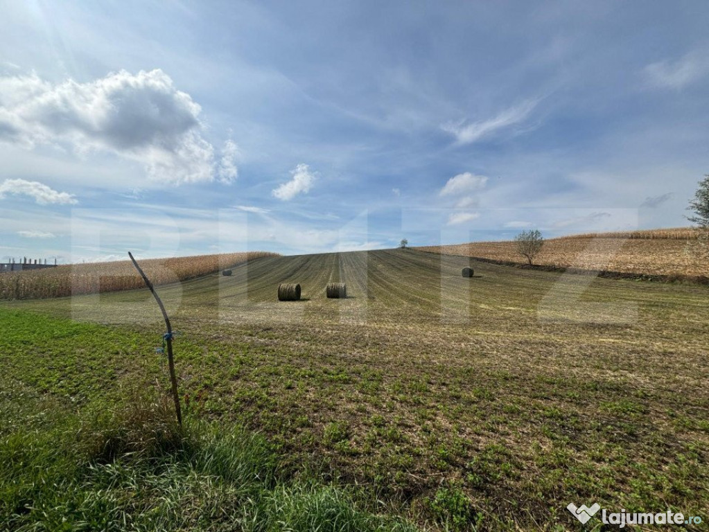 Teren intravilan, 78 ari, zona Moara