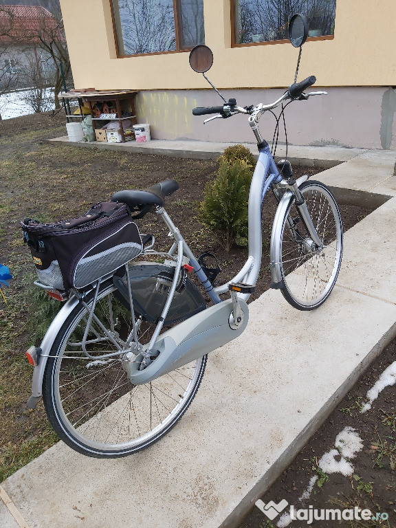 Bicicleta de oras DHS