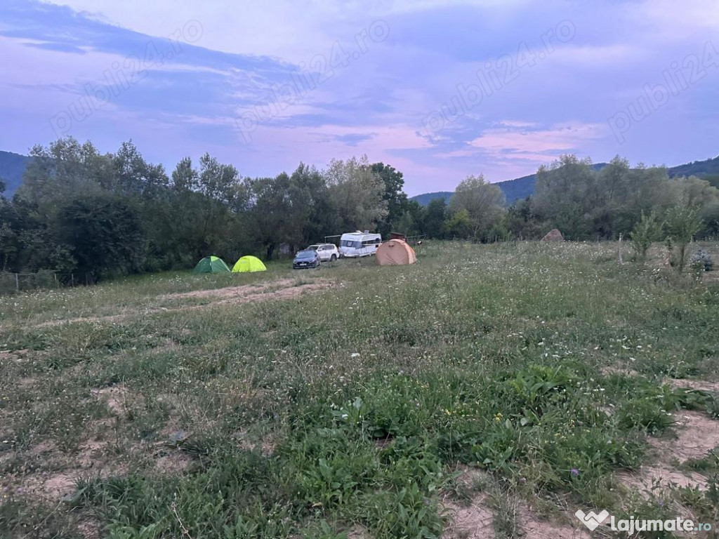 Teren la Munte in Arges - zona Bradulet