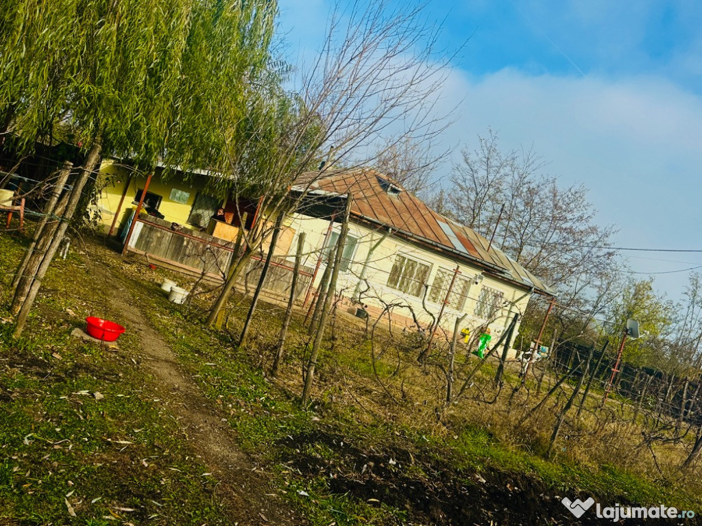 Casă de vânzare la doar 35 km de București, Ialomița