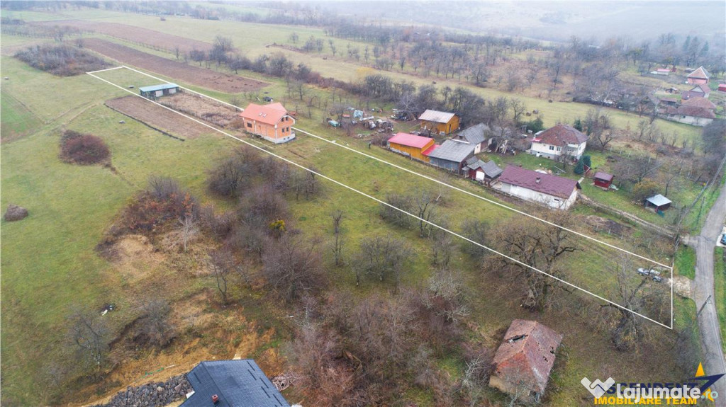 FILM! Casa si domeniu de 5.000mp, in Berchez:o bijuterie asc