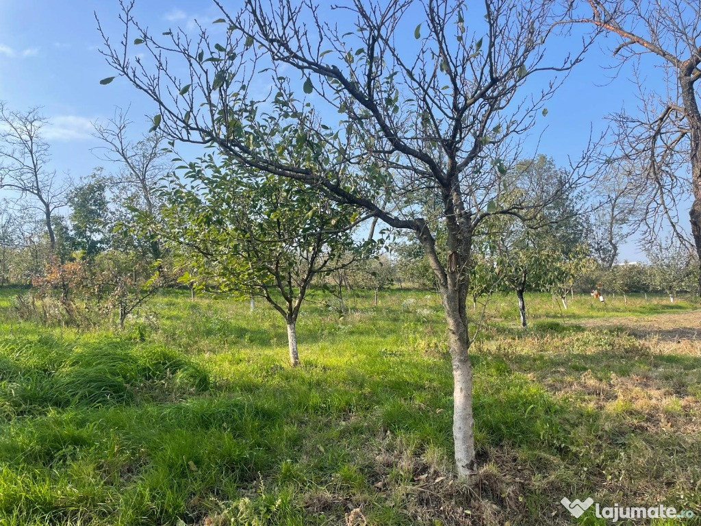 Casă Rediu-Primărie + TEREN 1200mp, toate utilitățile