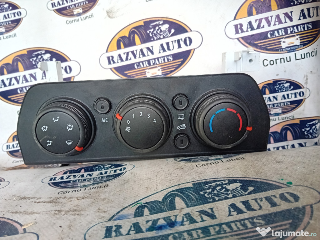 Broasca hayon Renault Scenic