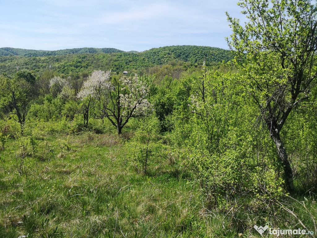 Teren intravilan Orsova, jud. Mehedinti 4700mp