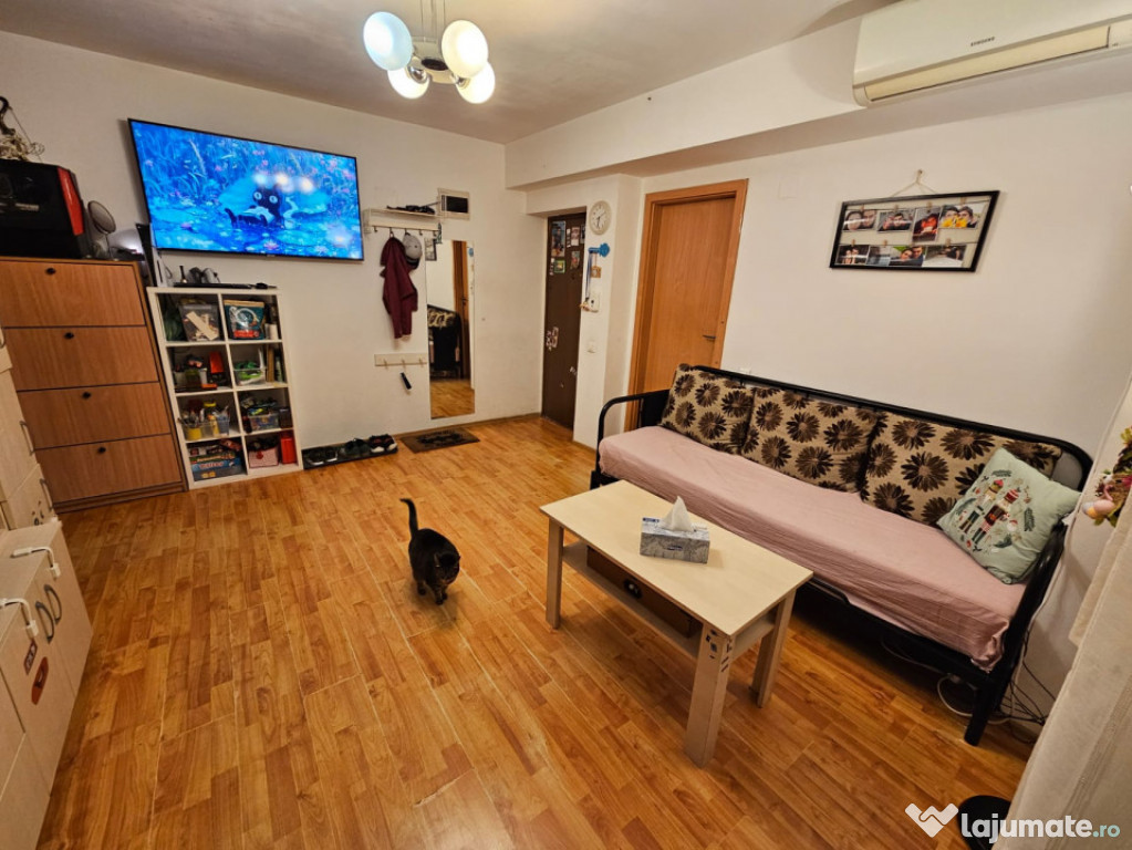 Apartament cu 2 camere, an 2013, parter inalt /4, Ozana - Ti