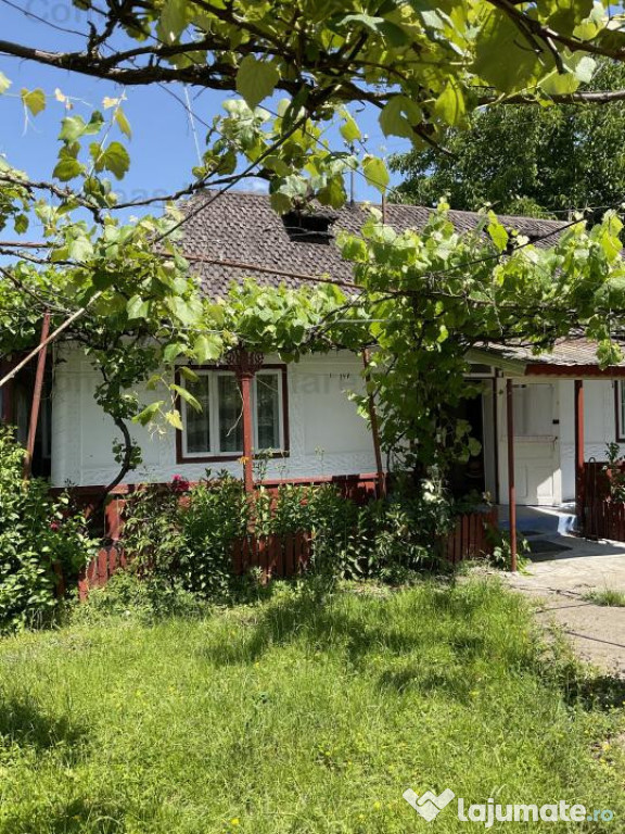 Casă la țară, cu dependințe și grădină