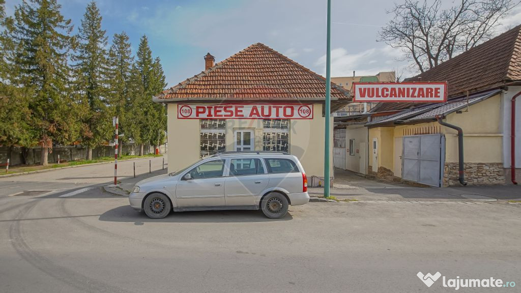 Spațiu comercial stradal pe Avram Iancu