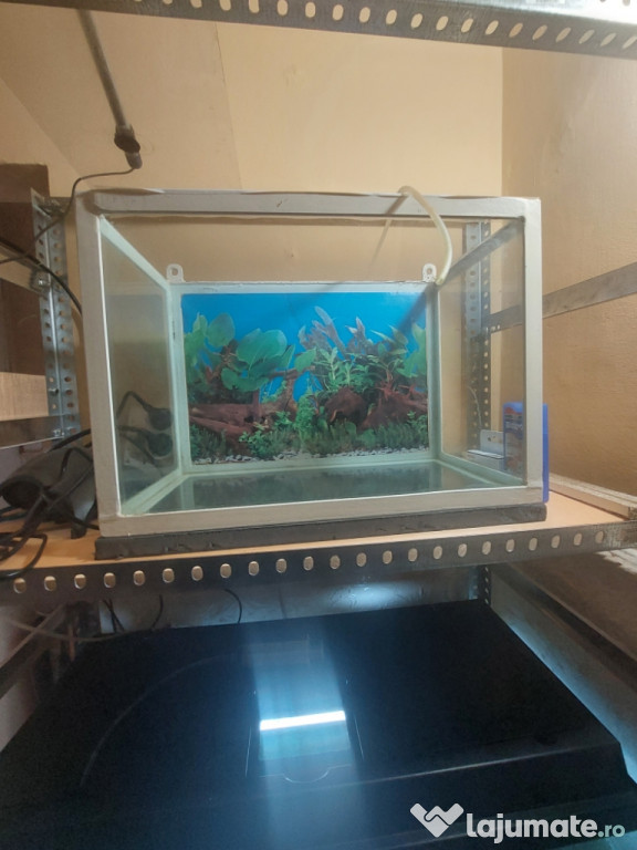 Acvariu pești+filtru