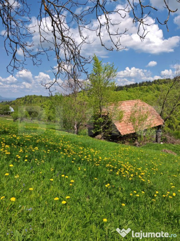 Teren intravilan 3400 mp, in Balaban - Simon, Bran - Brasov