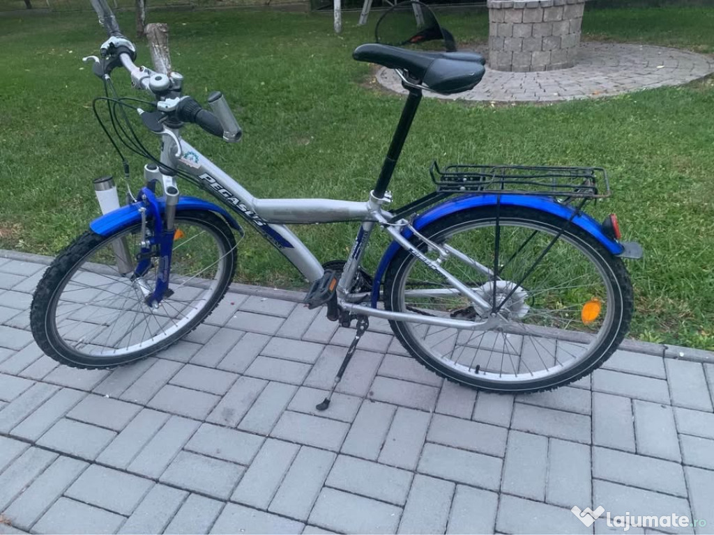 Bicicleta Pegasus 24