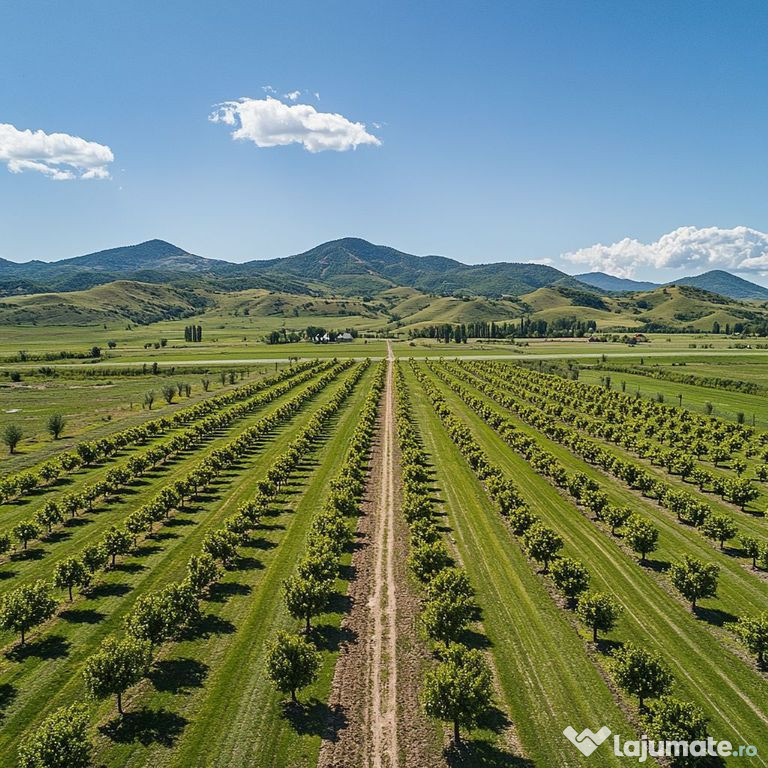 FERMĂ AGRICOLĂ PREMIUM 300 HA – INVESTIȚIE STRATEGIC...