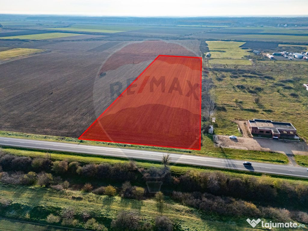 Teren 29220 mp Pecica,DN7, langa autostrada- Ideal pentru...